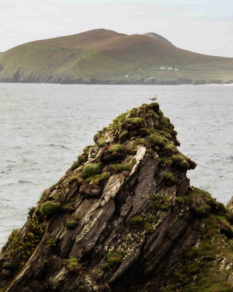 Clyde, Dunquin Pier, Ireland, Miru - 372